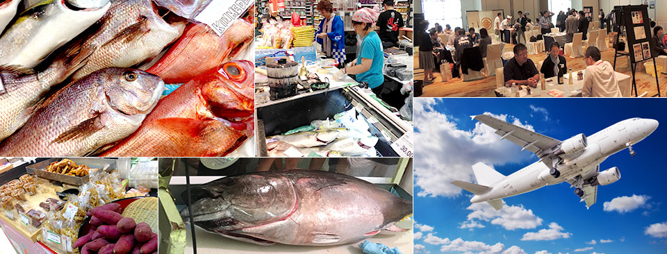The Kansai Foods Export